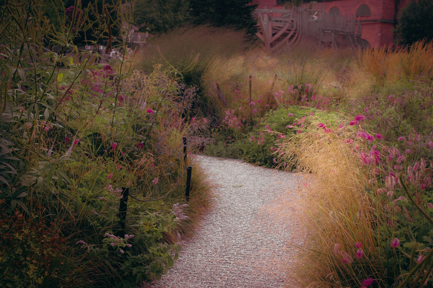 A gravel path winding through soft grasses and pink flowers